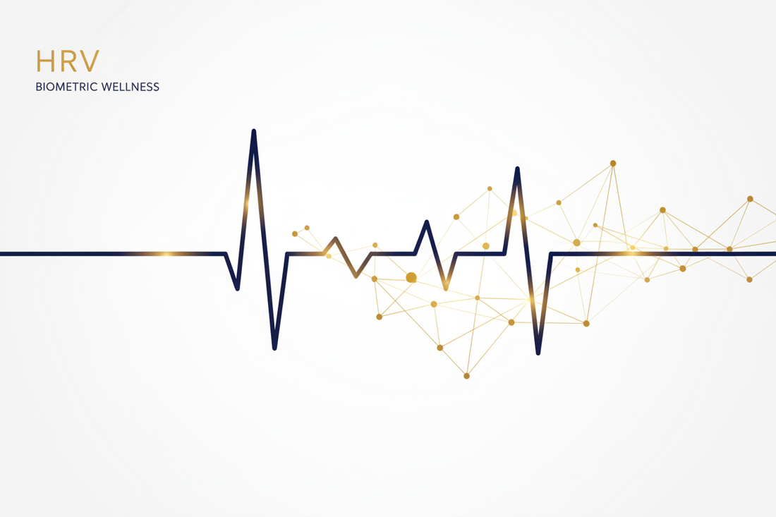HRV and Sleep Tracking, Explained: What Your Numbers Actually Mean